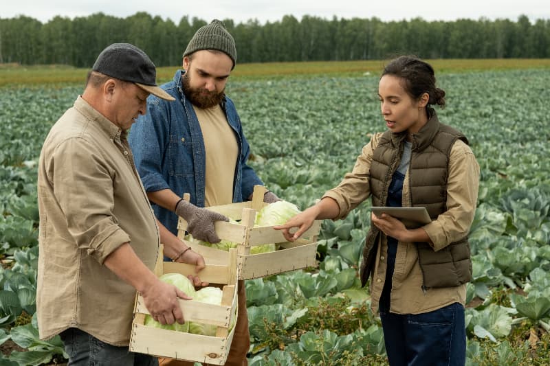 Plataforma-Agro Brasil