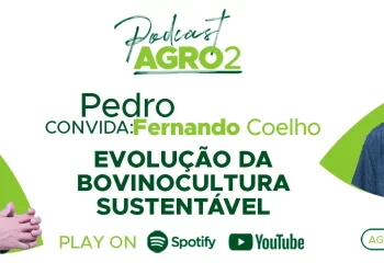 Podcast com Fernando Coelho