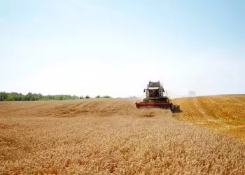 Programa Desenrola Rural entra em vigor e oferece descontos para agricultores familiares