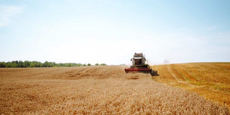 Programa Desenrola Rural entra em vigor e oferece descontos para agricultores familiares