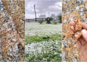 Tempestade de granizo deixa lavouras cobertas de gelo, em Goiás