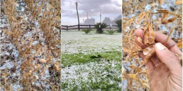 Tempestade de granizo deixa lavouras cobertas de gelo, em Goiás