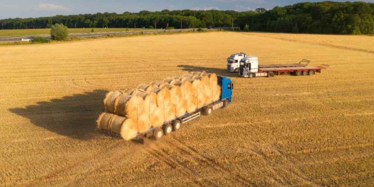 Volume de fretes rodoviários do agronegócio registra alta de 5,3% em 2024