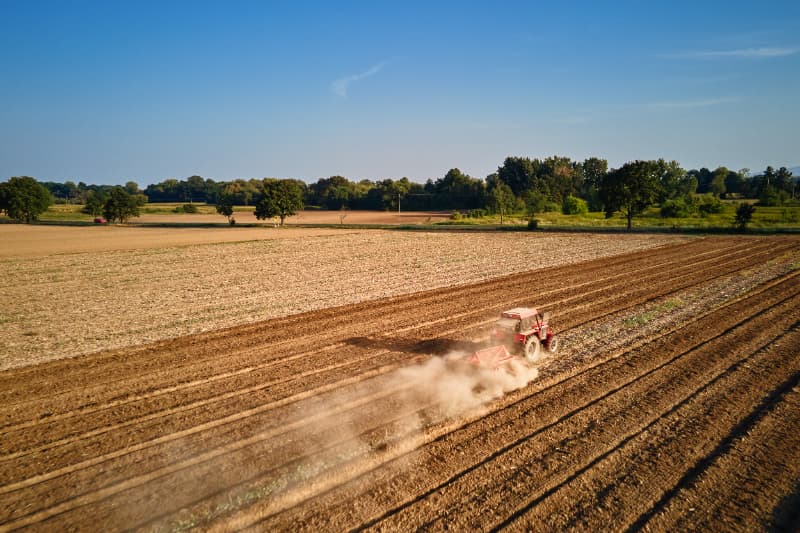 Agropecuária