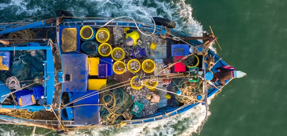 Embarcações de pesca