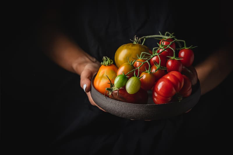 Transplantio de tomate