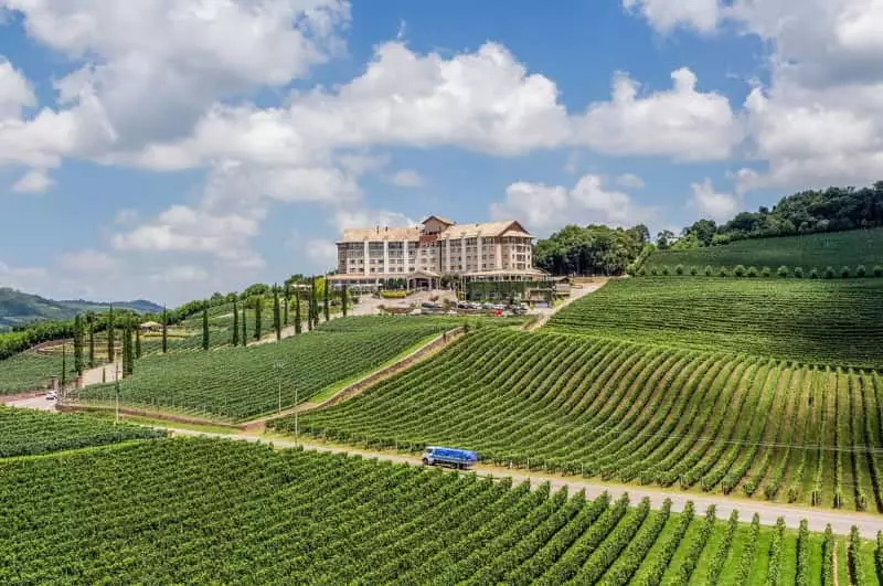Turismo Rural no Rio Grande do Sul: descubra o encanto do interior gaúcho 3 Vinícolas