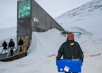 Brasil envia amostras de arroz e feijão ao Banco Global de sementes na Noruega
