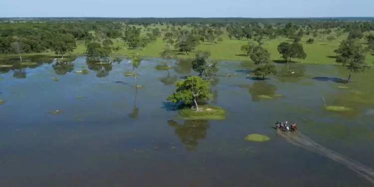 Campo Grande será sede da COP15 para a conservação de espécies migratórias em 2026