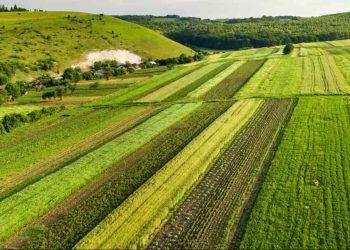 Consórcio Brasil Verde saiba quem são os representantes dos Biomas