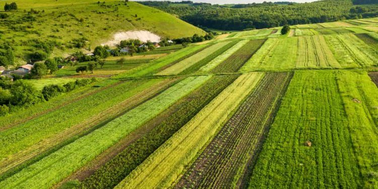 Consórcio Brasil Verde saiba quem são os representantes dos Biomas