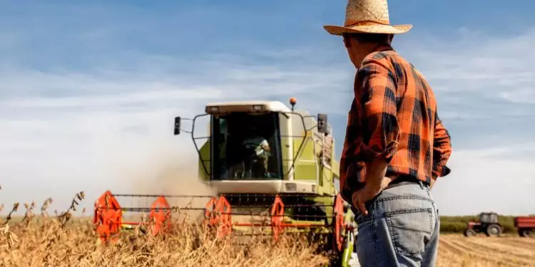 Desembolso do Plano Safra 2024/2025 atinge R$ 245,57 bilhões até fevereiro 1 Desembolso do Plano Safra 20242025 atinge R$ 245,57 bilhões até fevereiro