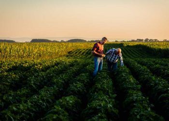 FGVAgro aponta crescimento de 2% para agroindústria em 2024