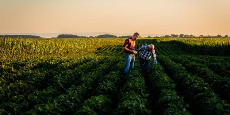 FGVAgro aponta crescimento de 2% para agroindústria em 2024