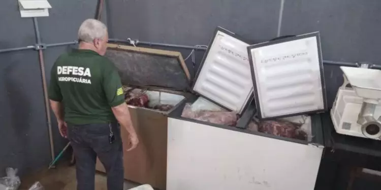 Aberto edital para concessão de 4 terminais pesqueiros; veja diretrizes