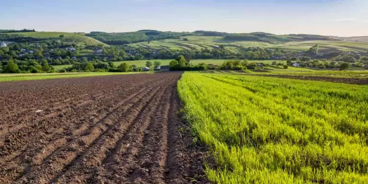Incubadoras no agro crescem 224% entre 2023 e 2024, aponta Radar Agtech