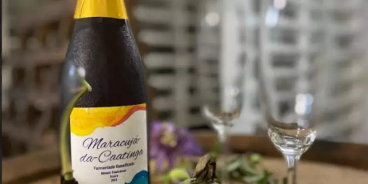 Maracujá-da-Caatinga se transforma em base para bebida gaseificada 1 Maracujá-da-Caatinga se transforma em base para bebida gaseificada