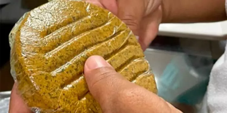 Pesquisadores utilizam coco babaçu para criar hambúrguer sustentável 1 Pesquisadores utilizam coco babaçu para criar hambúrguer sustentável