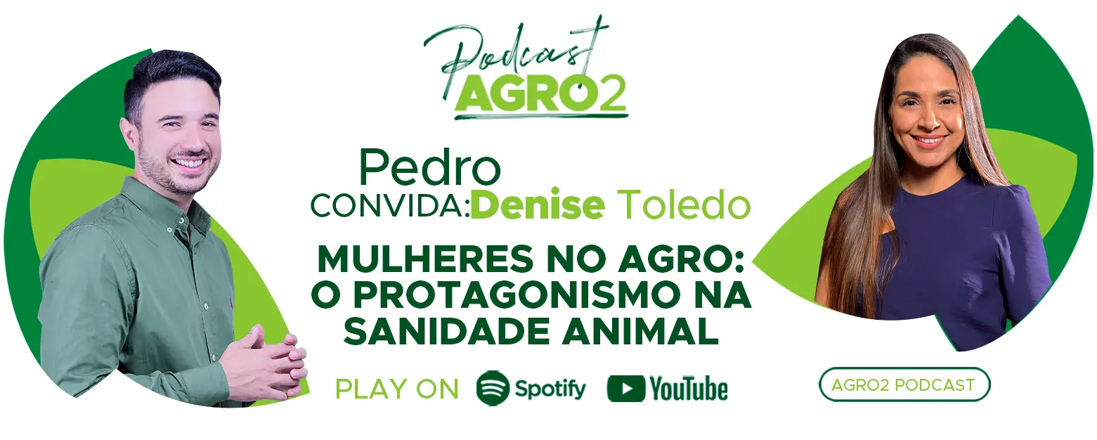 Podcast com Denise Toledo