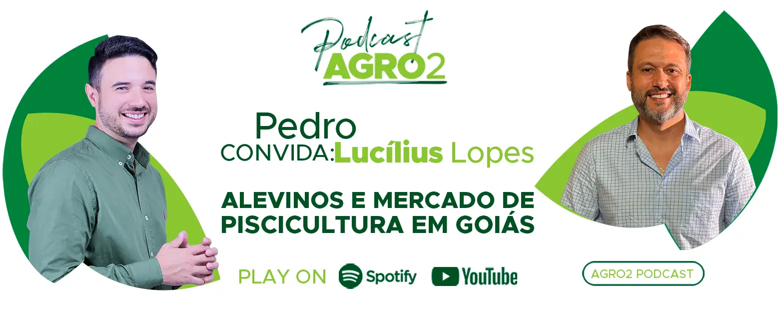 Podcast com Lucilius Lopes