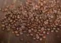 Produção mundial de café é estimada em 174,9 milhões de sacas para o ano-cafeeiro