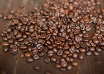 Produção mundial de café é estimada em 174,9 milhões de sacas para o ano-cafeeiro