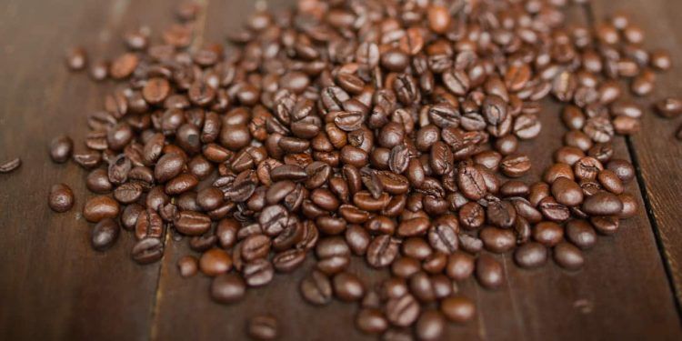 Produção mundial de café é estimada em 174,9 milhões de sacas para o ano-cafeeiro