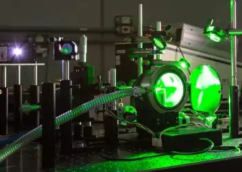 Técnicas combinadas permitem identificação rápida de milho transgênico