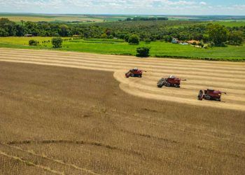 Valor das emissões de carbono na agricultura brasileira é de US$ 11,54 por tonelada