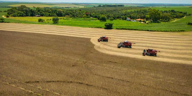 Valor das emissões de carbono na agricultura brasileira é de US$ 11,54 por tonelada