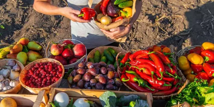 Veja quais são os cuidados legais para exposição de produtos orgânicos no varejo 1 Veja quais são os cuidados legais para exposição de produtos orgânicos no varejo