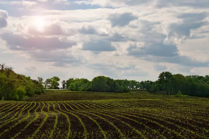 Incubadoras no agro crescem 224% entre 2023 e 2024, aponta Radar Agtech 3 Agro