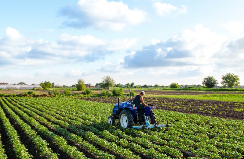 Agroindustria