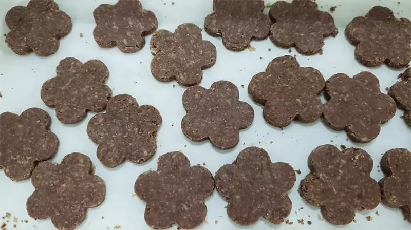 Pesquisadores utilizam coco babaçu para criar hambúrguer sustentável 3 Alimentos de coco babaçu