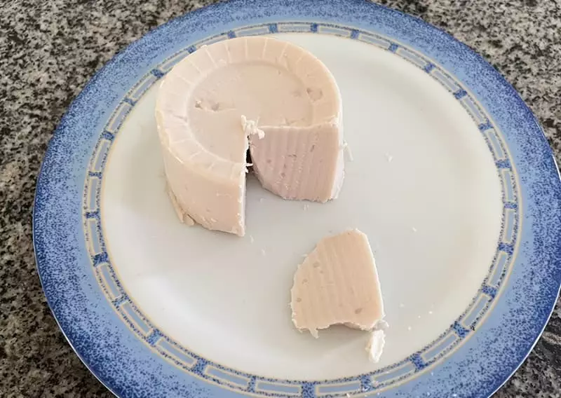 Pesquisadores utilizam coco babaçu para criar hambúrguer sustentável 2 Alimentos do coco babaçu