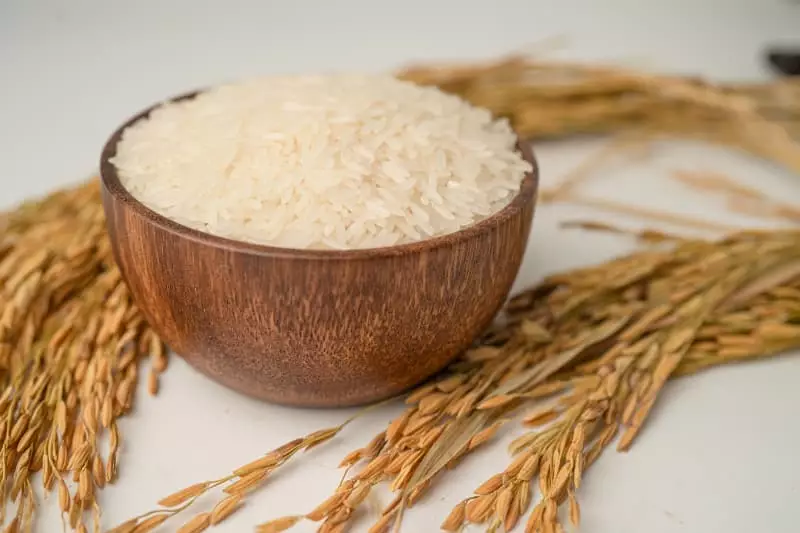 Arroz