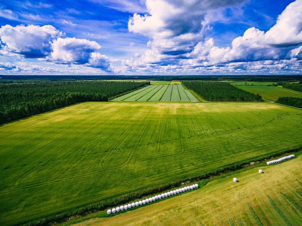 Consórcio Brasil Verde