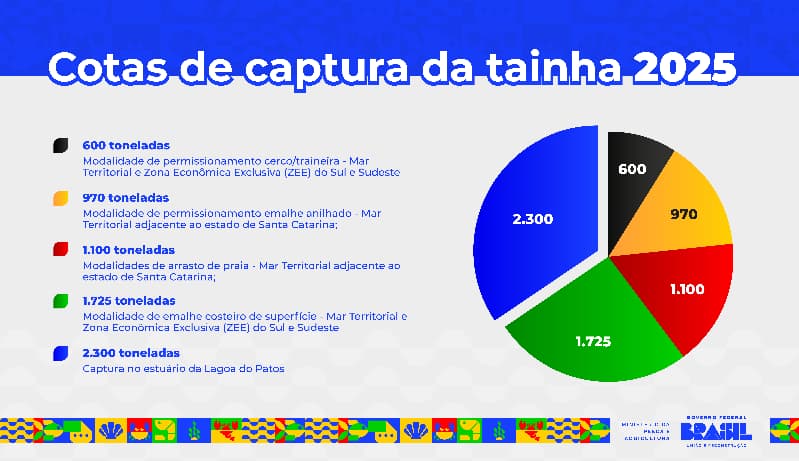 Cotas de captura de tainha 2025