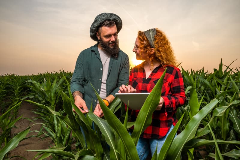 Crescimento da agroindústria