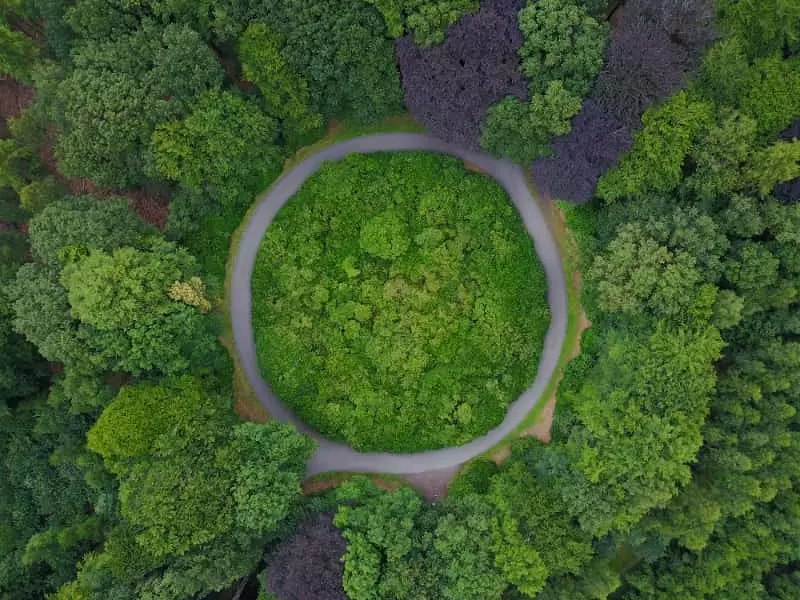 BNDES autoriza crédito de R$ 10 bilhões para projetos do Fundo Clima 2 Fundo clima
