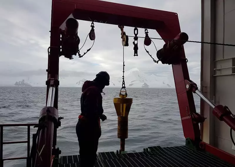 Novo fungo da antártica aponta alternativas sustentáveis para agricultura 2 Fungo da antartica