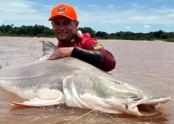 Guia fisga peixe de mais de 2 metros e 120 quilos no Rio Araguaia, em Goiás