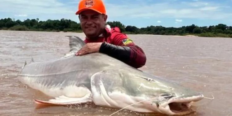 Guia fisga peixe de mais de 2 metros e 120 quilos no Rio Araguaia, em Goiás