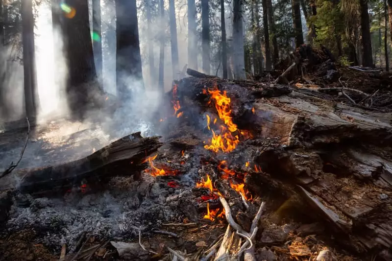 Incêndios