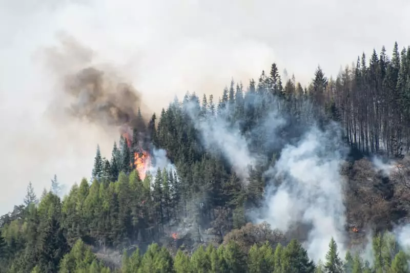 Incêndios florestais