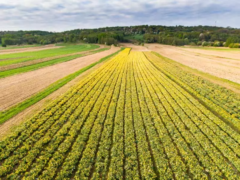 Incubadoras no agro crescem 224% entre 2023 e 2024, aponta Radar Agtech 2 Incubadoras no agro