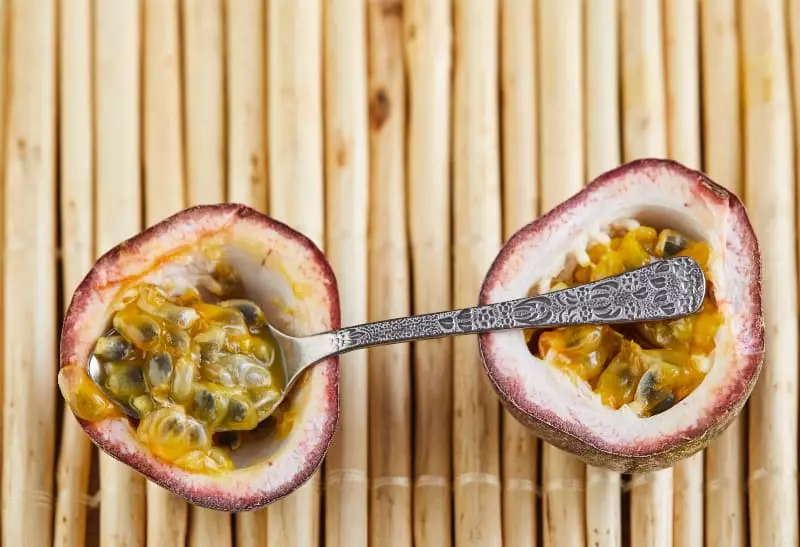 Maracujá-da-Caatinga se transforma em base para bebida gaseificada 3 Maracujá