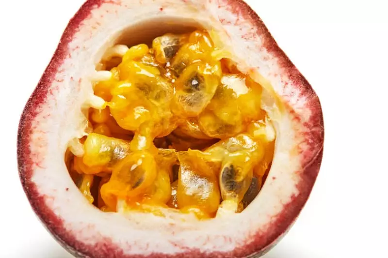 Maracujá-da-Caatinga se transforma em base para bebida gaseificada 2 Maracuja da caatinga