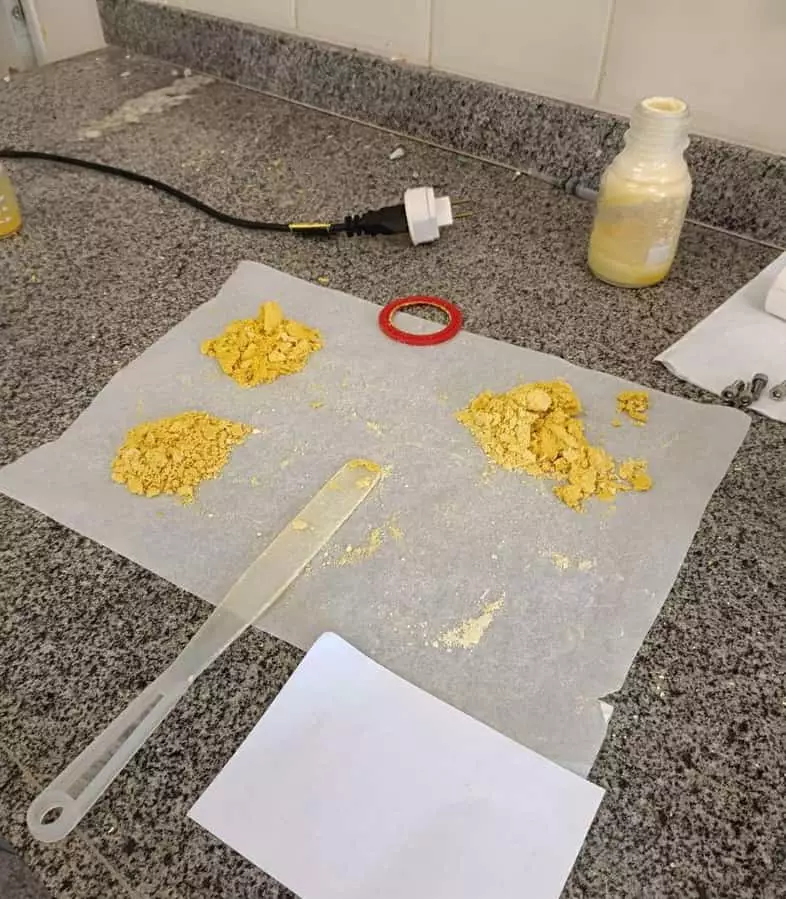 Pequi em pó UFG
