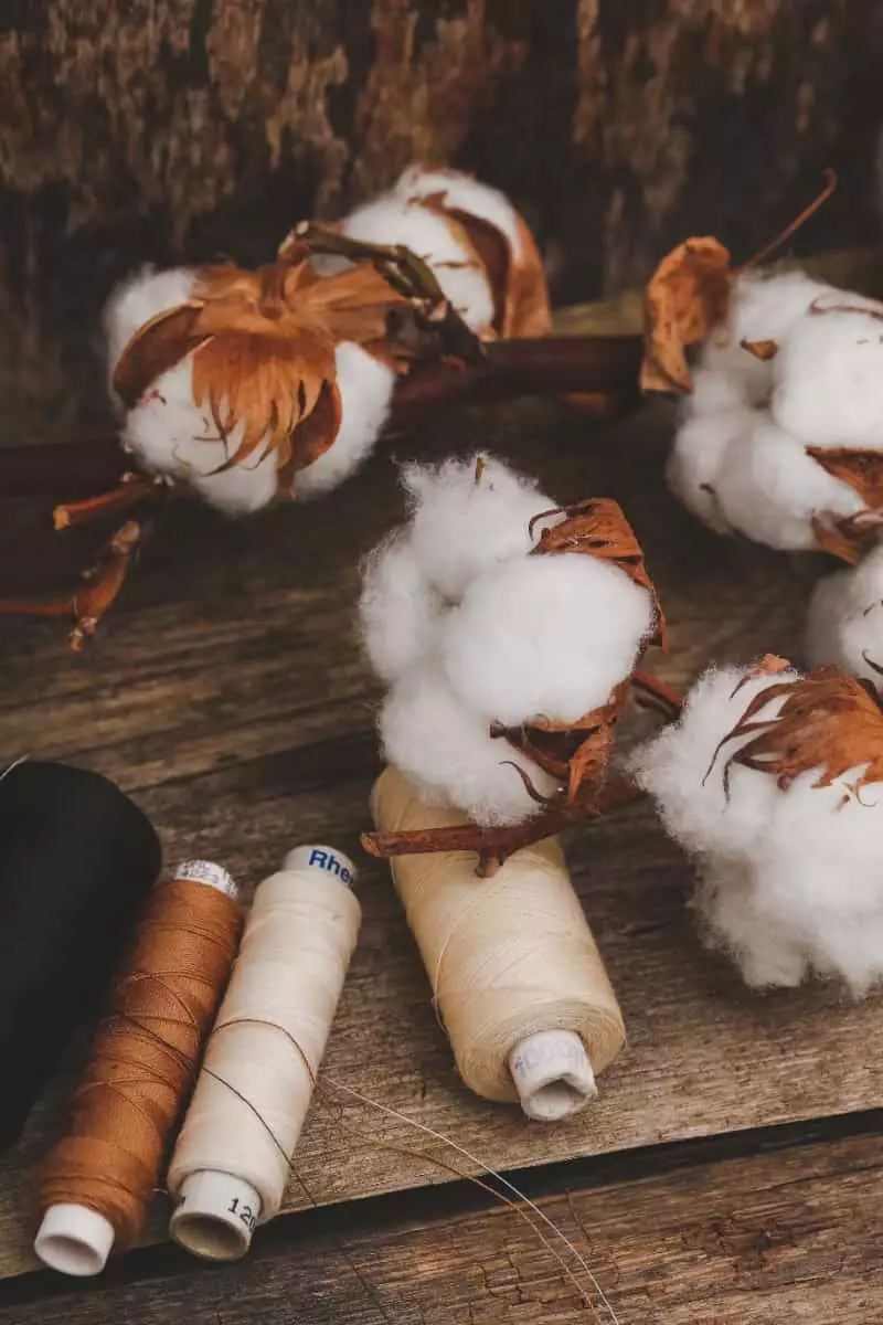 Produção de algodão